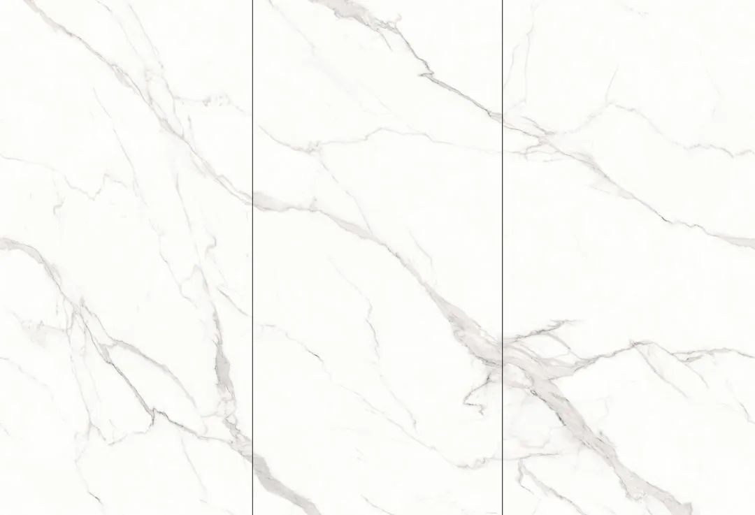 【新品】奢華定制，1600x3200mm成就大宅風(fēng)范！(圖24)