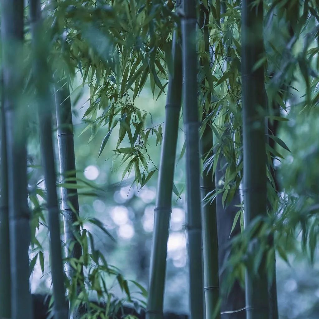質(zhì)感?原生石系列 | 1200×1800mm密縫連紋，開(kāi)創(chuàng)無(wú)限世界(圖19)